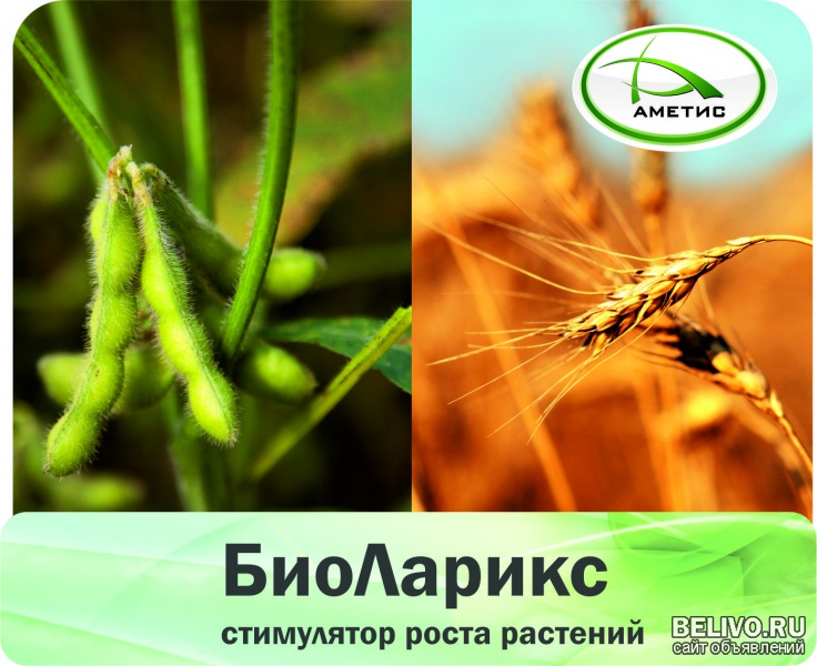 «БиоЛарикс» – стимулятор роста растений
