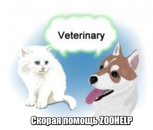 Сеть ветеринарной скорой помощи ZooHelp