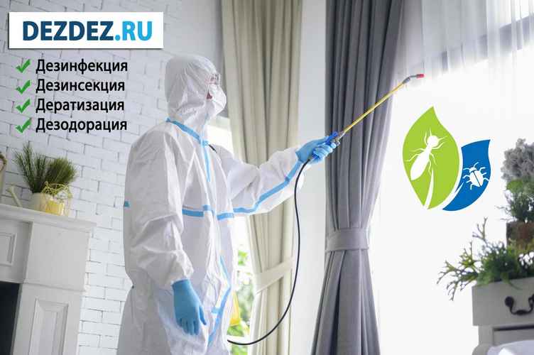 Профессиональная дезинсекция, дератизация и дезинфекция в Мо