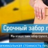 Сборные грузоперевозки CAR-GO